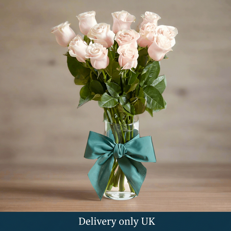 12 Pink Roses  - UK