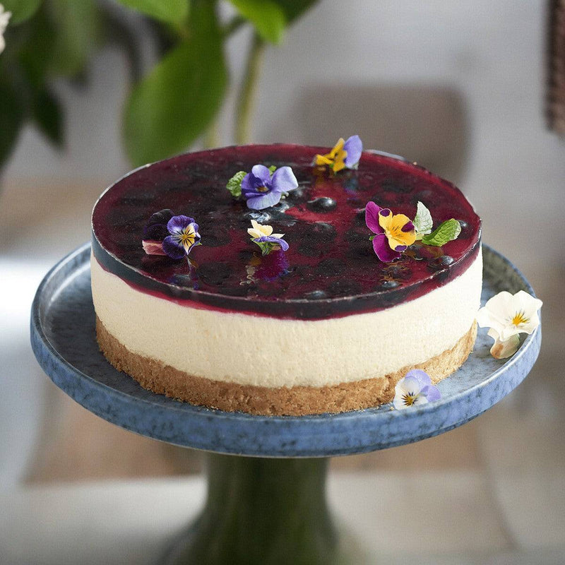 Blue Berry Cheese Cake - UAE