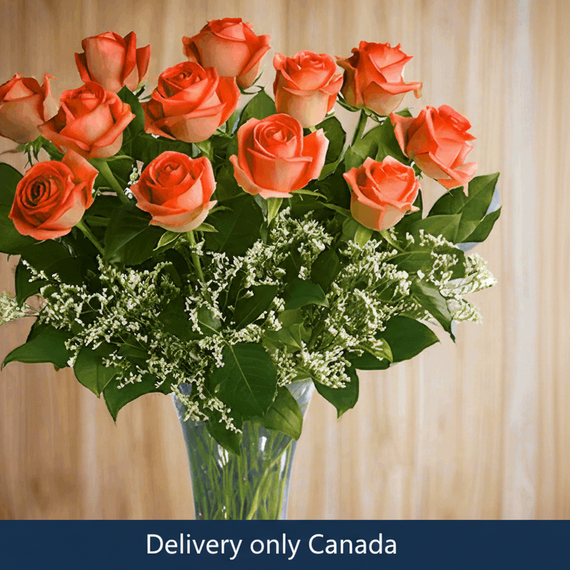 Orange Roses Delivery in Canada