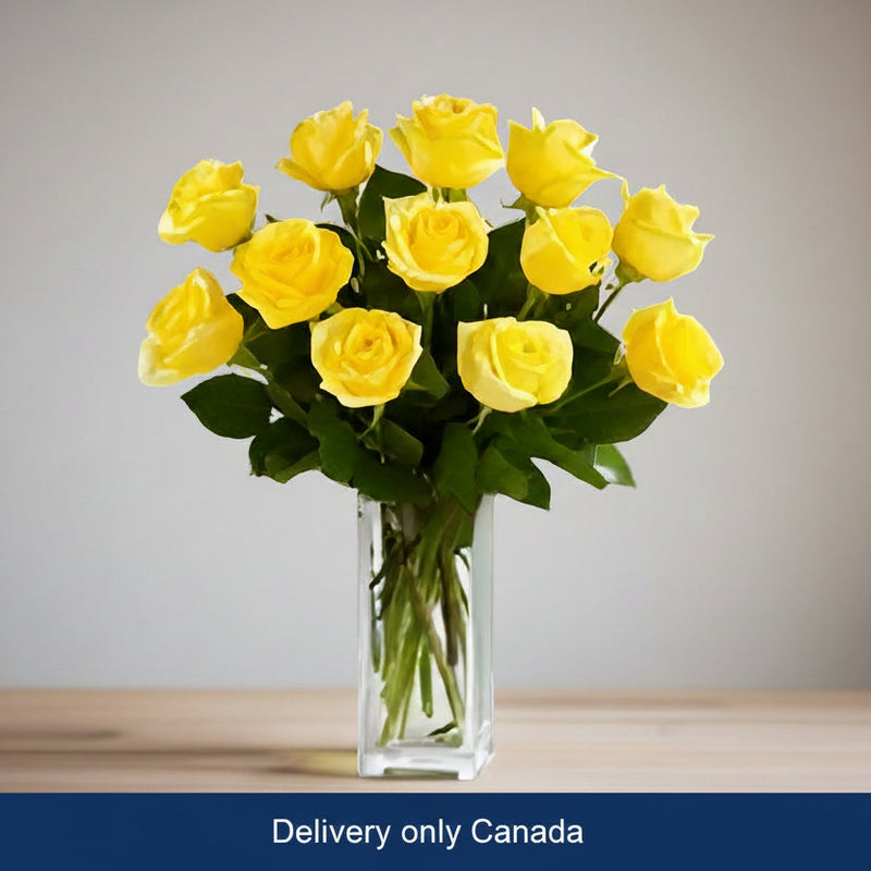Yellow roses Vase  - Canada