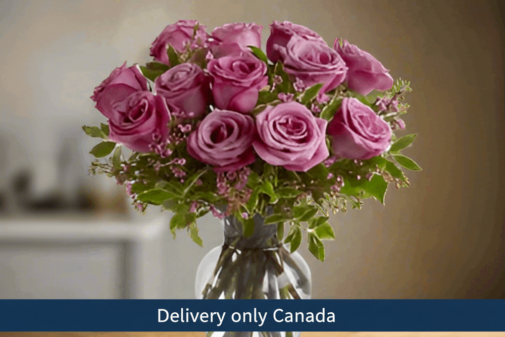 14 Roses in a Vase – delivery in Canada