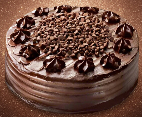Chocochip Loaded Chocolate Cake — dark chocolate-chip centre and a piped dollop border; India