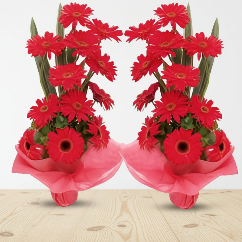 Gerbera Flowers Online in India