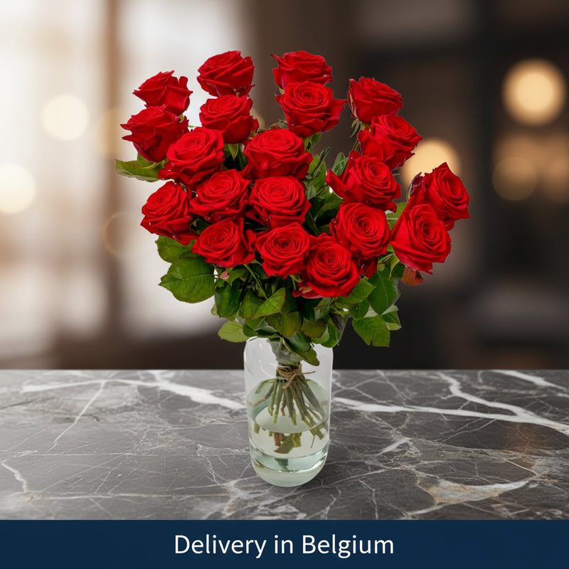 10 Red Roses in a Vase- Belgium