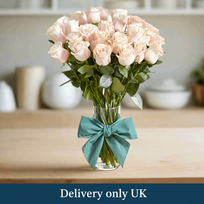 24 Pink Roses Wrapped - UK