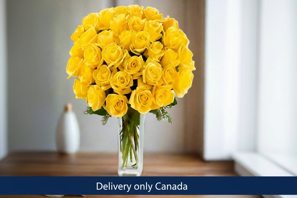 25 Yellow Roses – delivery in Canada