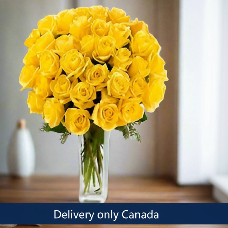 25 Yellow Roses  - Canada