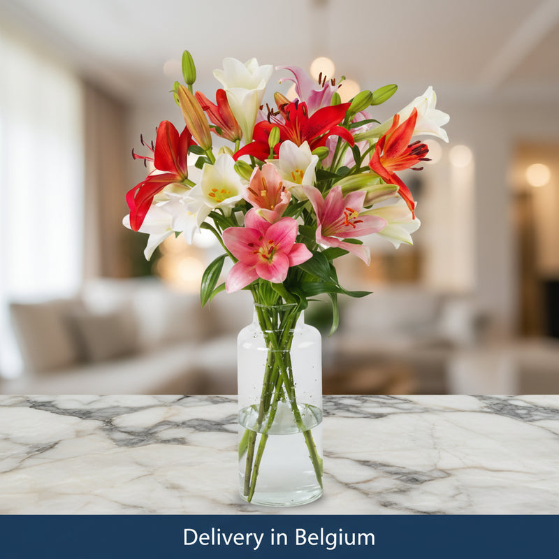 Lilies in a vase  - Belgium