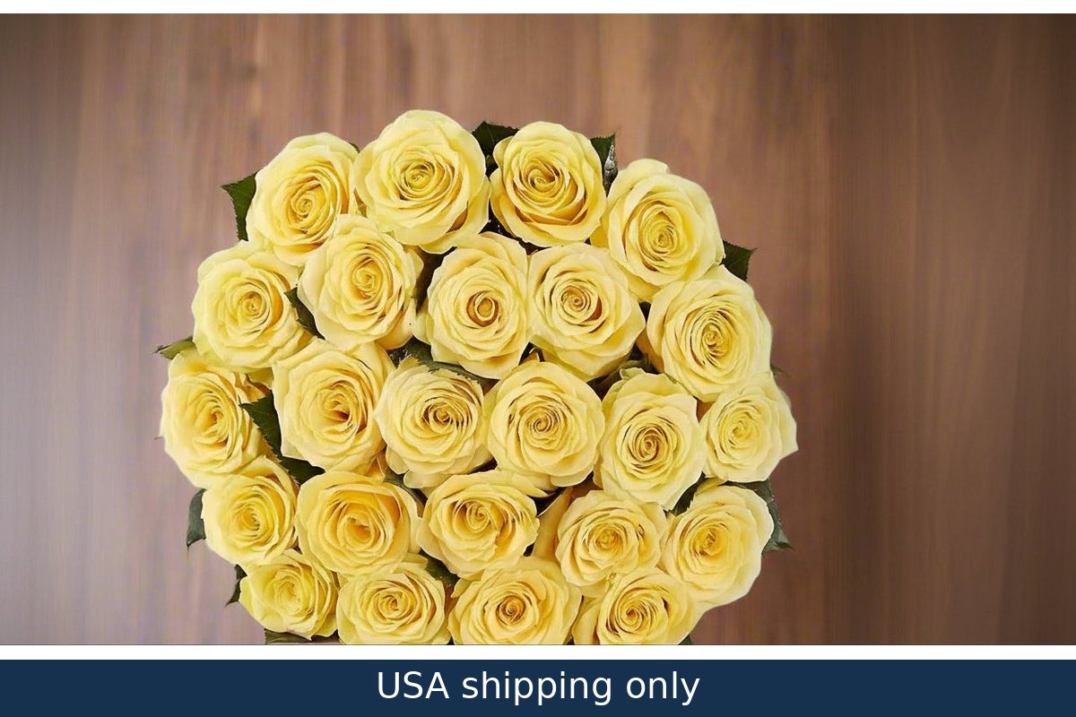 12 Yellow Roses - USA Delivery