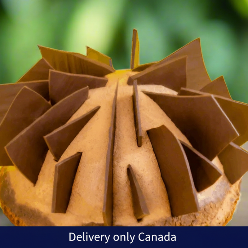 Belgian Chocolate Cake - Vancouver