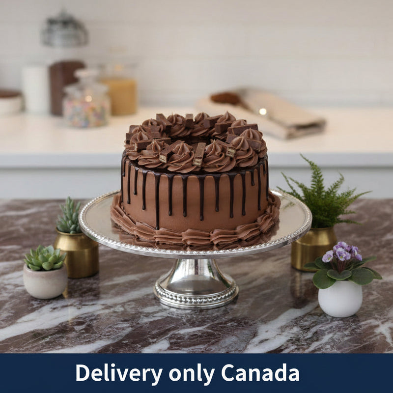Chocolate Delicious Cake - Canada
