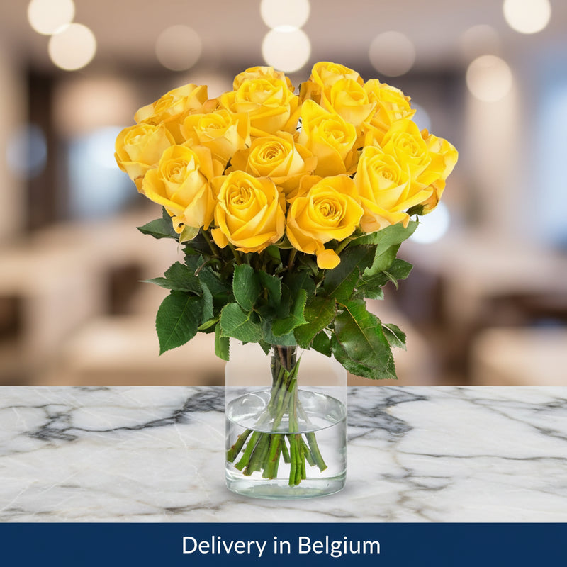 Yellow Roses in a Vase - Belgium