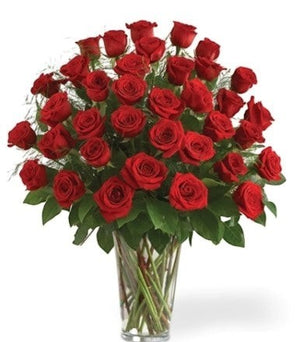 Beautiful 30 LONG STEM roses - Australia
