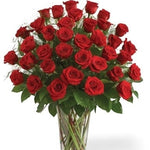 Beautiful 30 LONG STEM roses - Australia