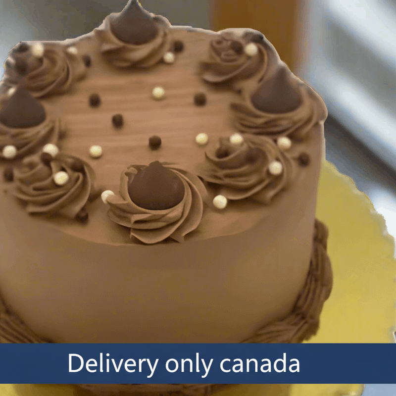 Chocolate Cake - Canada