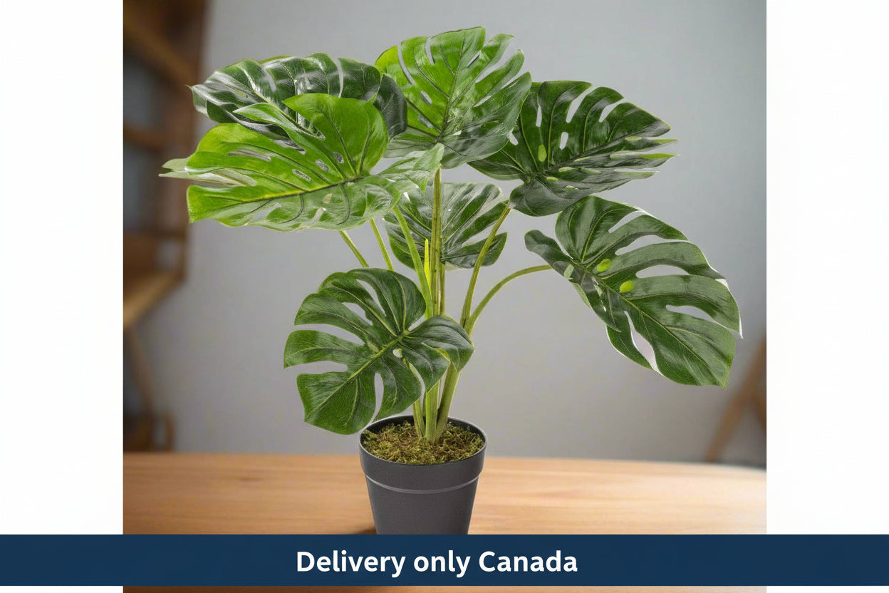 Artificial Monstera Leaf Plant - Canada