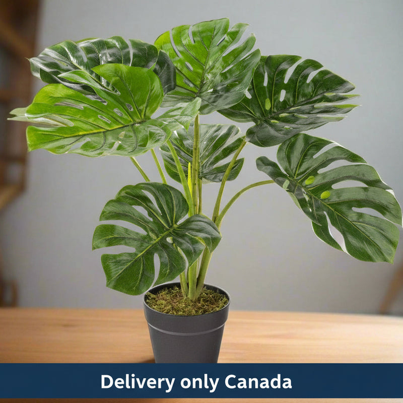 Artificial Monstera Leaf Plant - Canada
