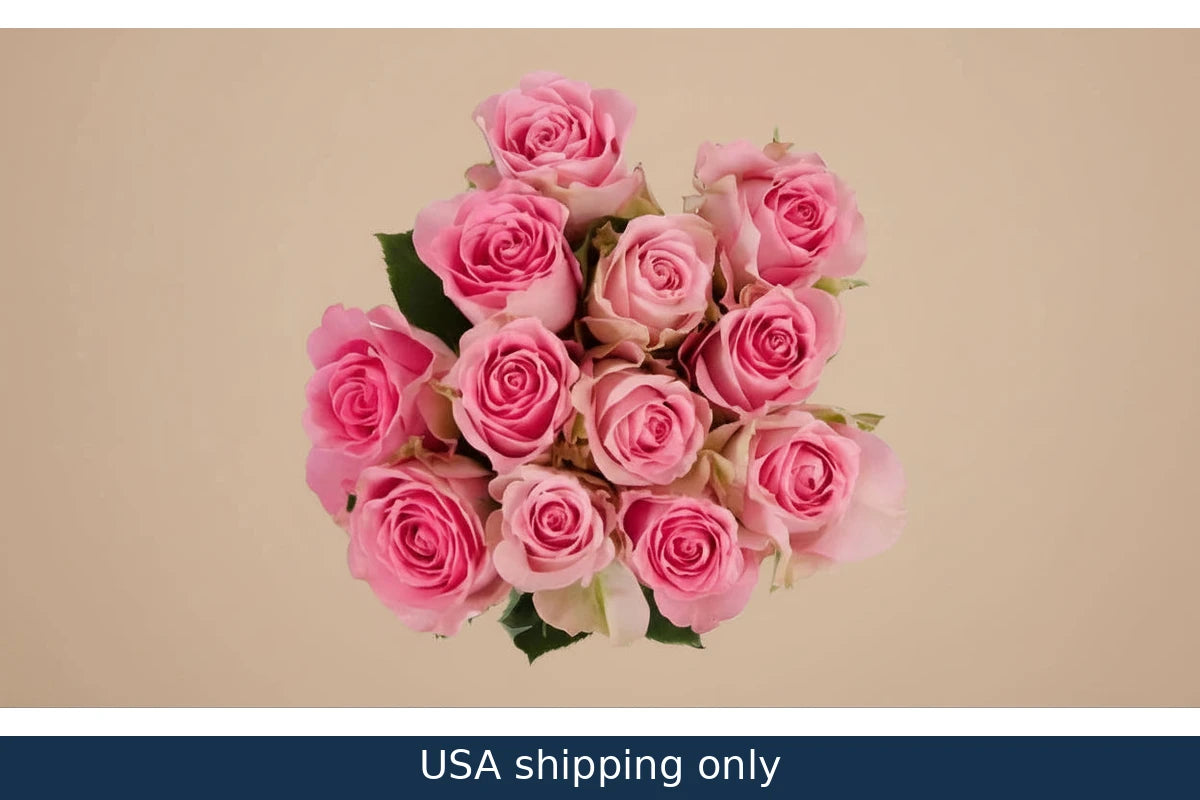 12 Beautiful Pink Roses - USA Delivery