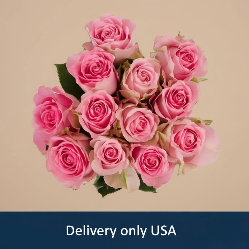 12 Beautiful Pink Roses - USA