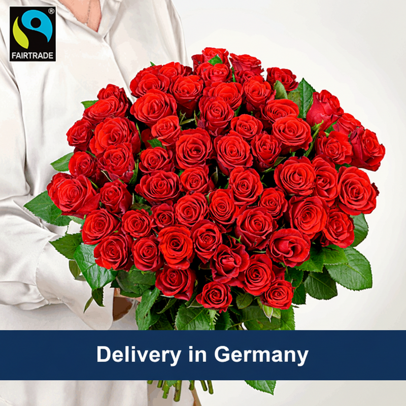 Giant 50 Red Roses Bouquet - Germany