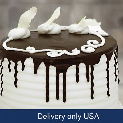 Diner Special Cake - USA