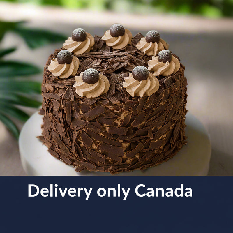 Chocolate Cake - Canada | Toronto | Quebec | Alberta