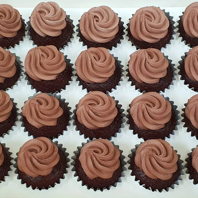 36 Piece Chocolate Cup Cakes - India