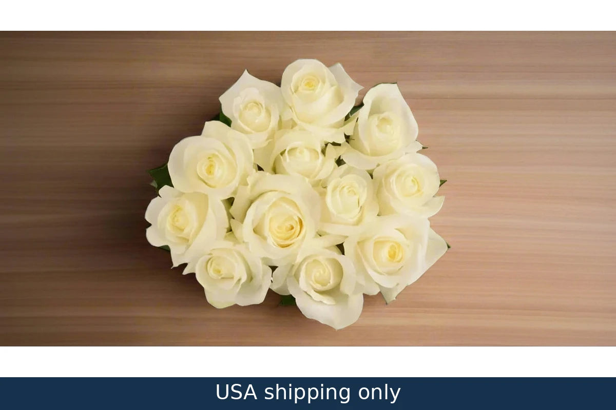 12 White Roses - USA Delivery