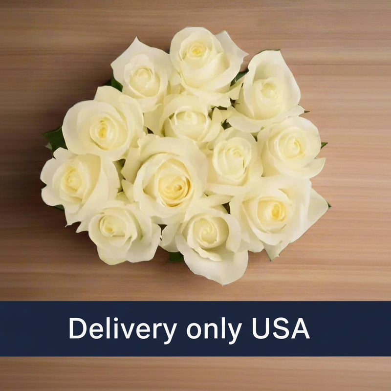 12 White Roses - USA