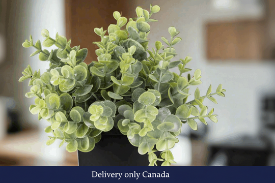 Artificial Indoor/Outdoor Eucalyptus Plant – delivery in Canada