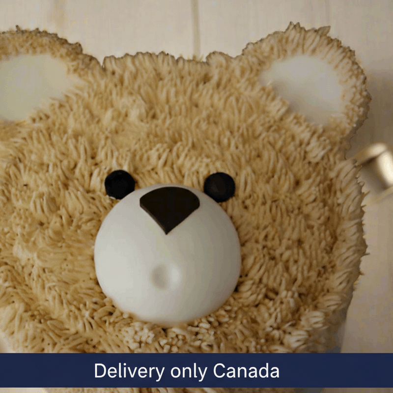 Bear Face Cake - Canada