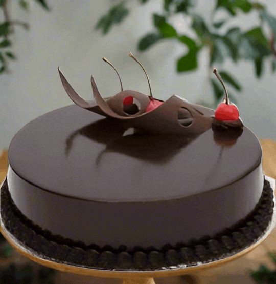Cherry Decor Chocolate Beauty Cake — smooth dark finish, curled decorative pieces and cherries; India