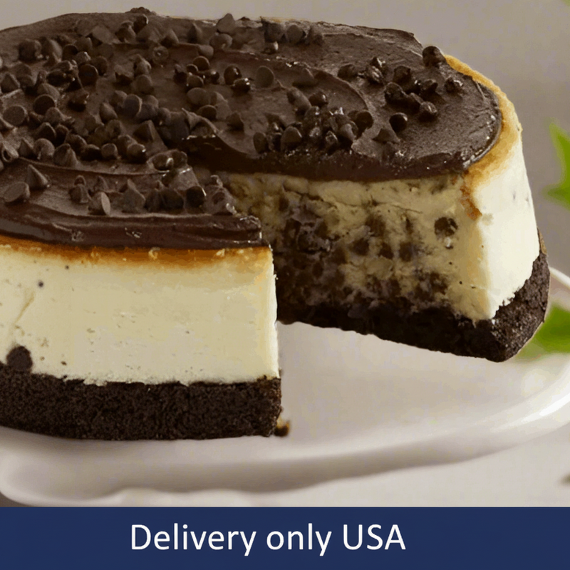 Chocolate Chip Cheesecake - USA
