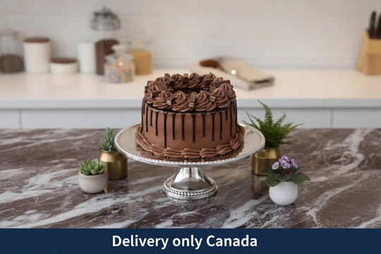 Chocolate Delicious Cake – delivery in Canada