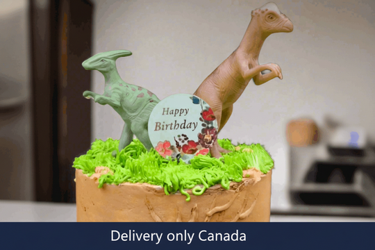 Dinosaurs Theme Cake – delivery in Canada