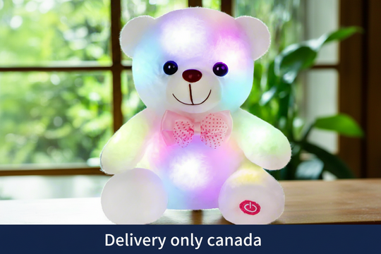 Light up White Teddy Bear LED – delivery in Canada