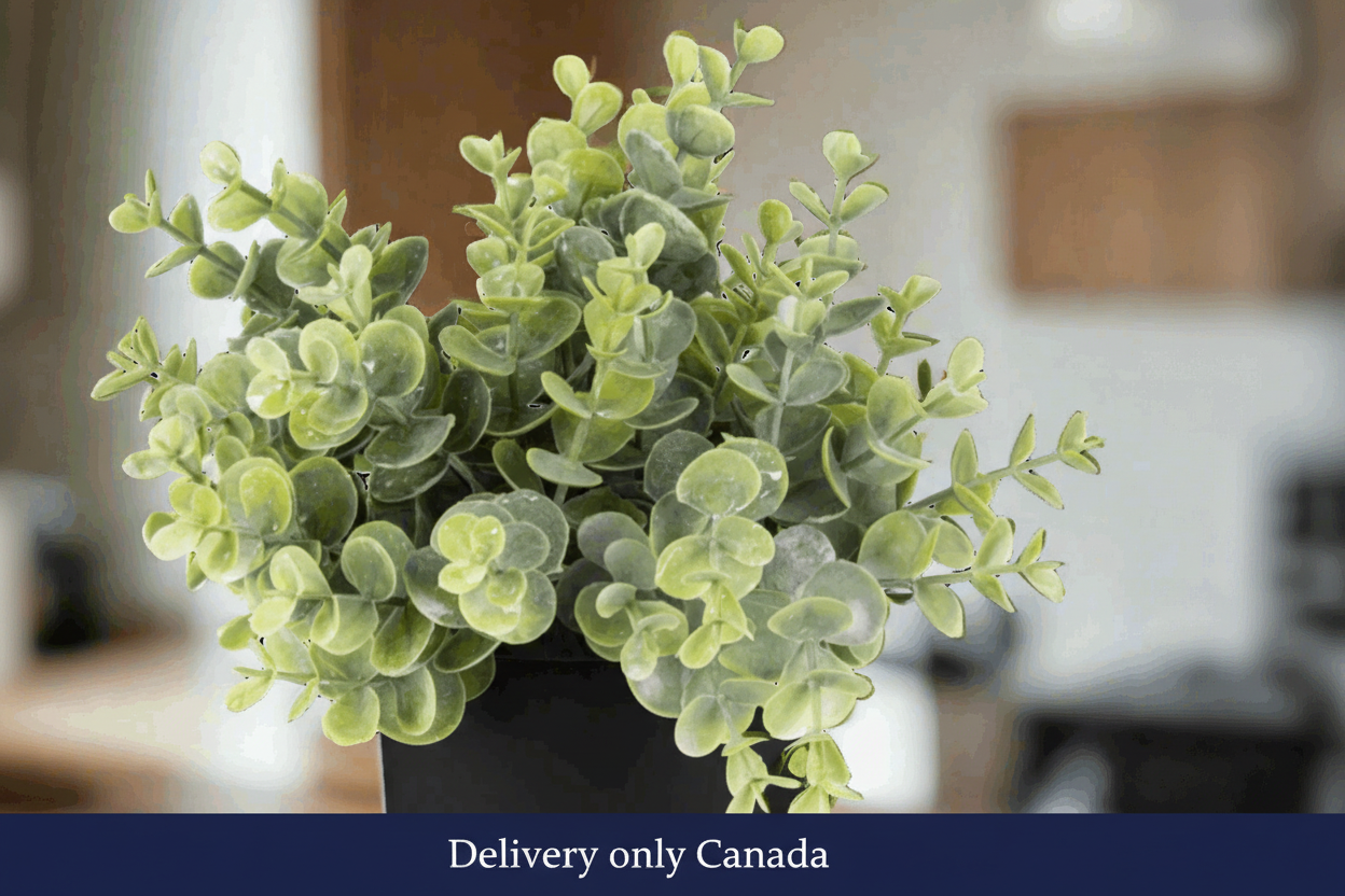 Artificial Indoor/Outdoor Eucalyptus Plant  - Canada
