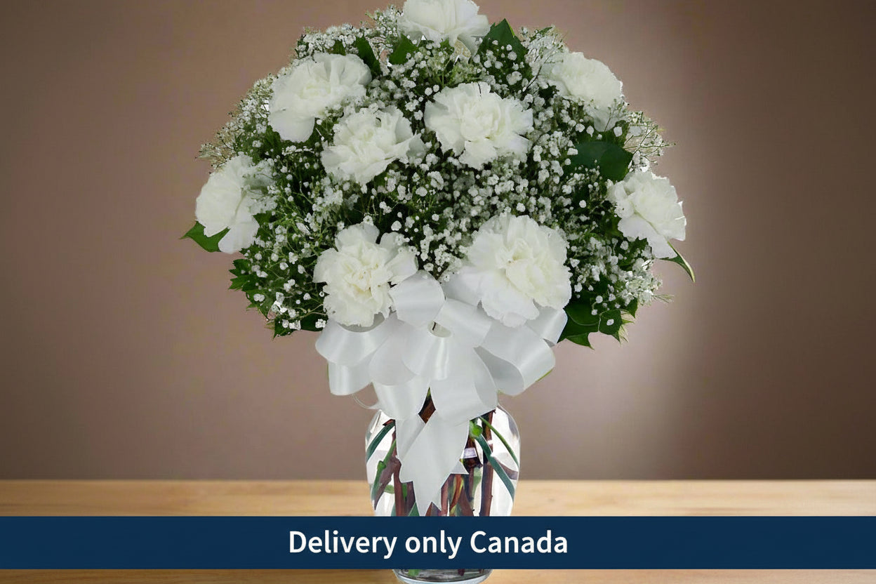 Carnation Flowers to Vancouver