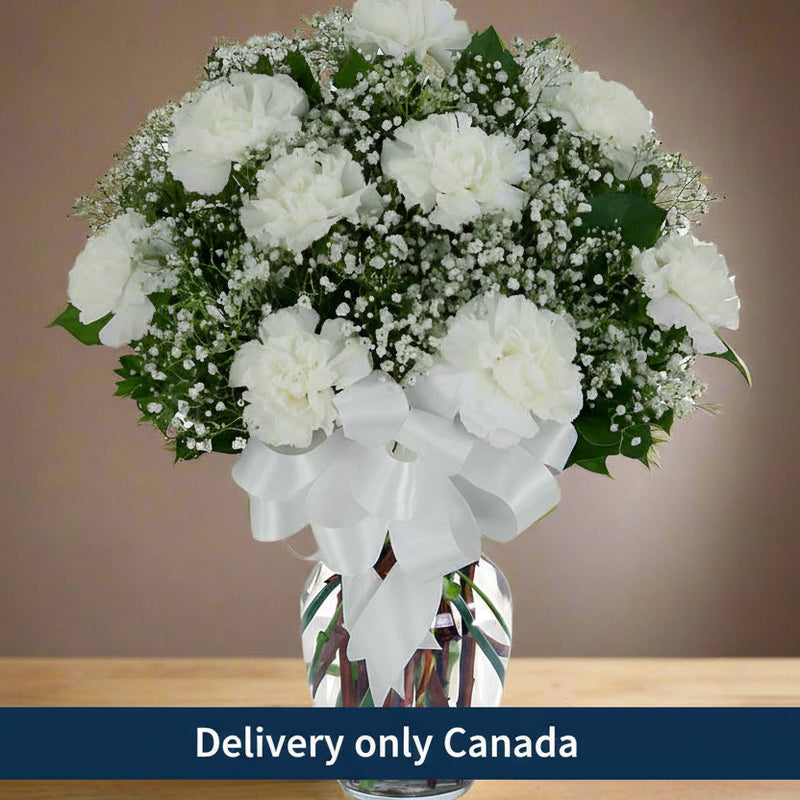 Carnations with Daisies  - Canada