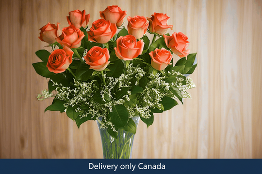 Orange Roses – delivery in Canada