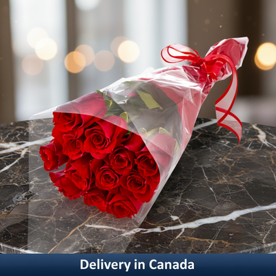 Red rose bouquet in clear wrapping – delivery in Canada