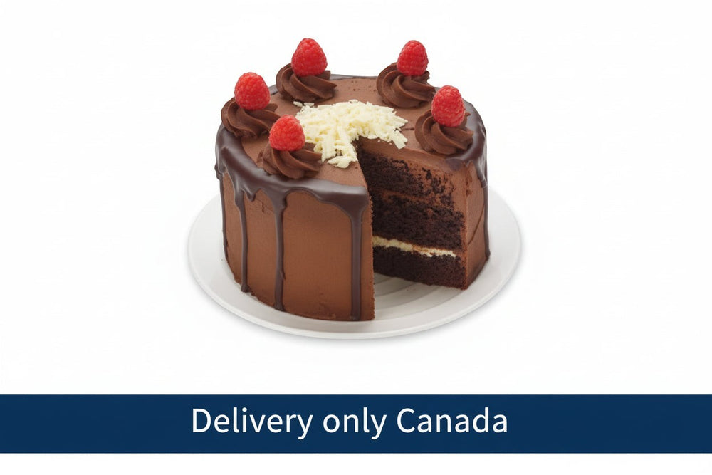 Rich chocolate cake with raspberries and chocolate decorations – delivery in Canada