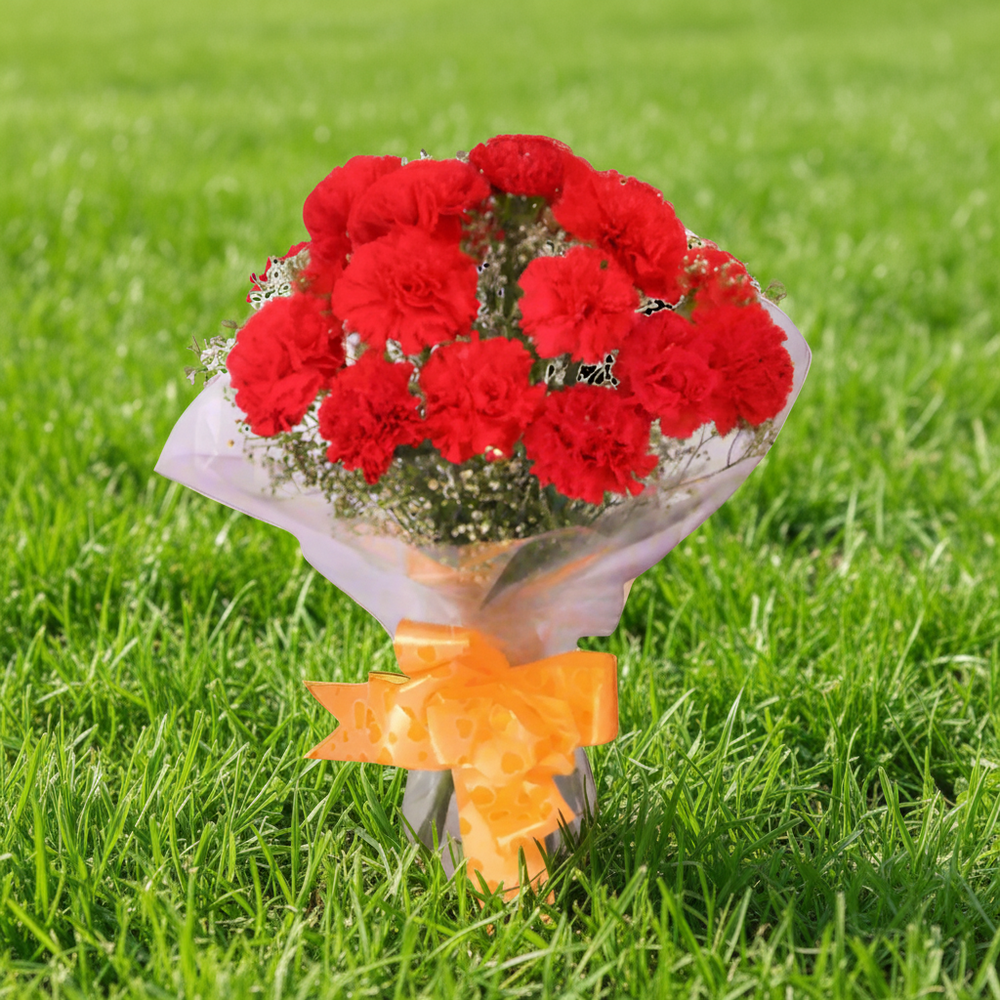 Red Carnations Bouquet
