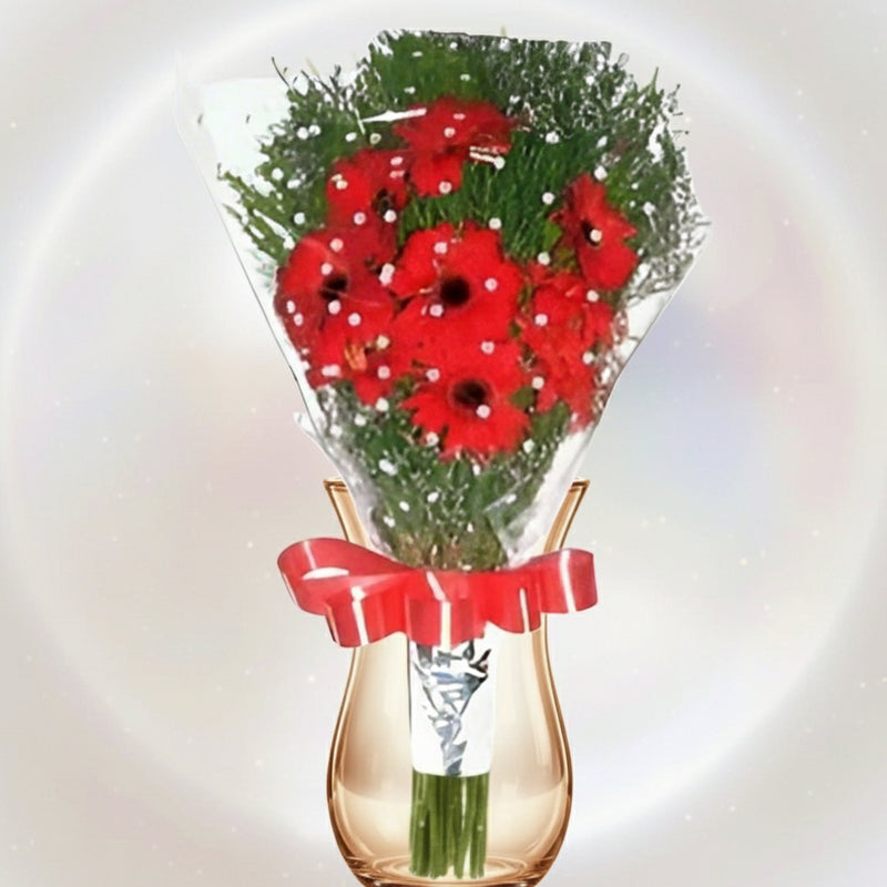 Red Gerberas - India