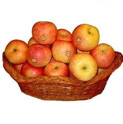 a Basket full of fresh Apples