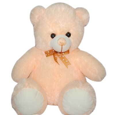 Cool Pink Teddy Bear 30cm