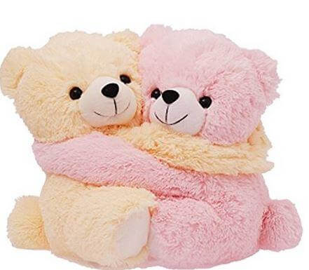 Hug Teddy Bear