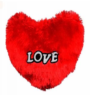 Love Heart Pillow