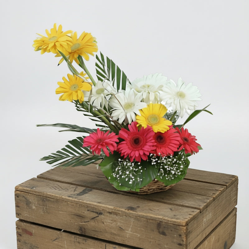 Mixed Gerberas Basket - India