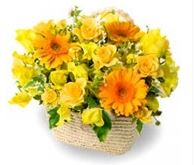Roses n Gerberas Basket